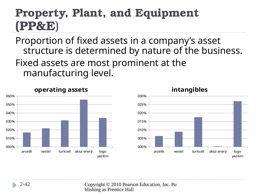 Analyzing Investing Activities The Balance Sheet - slide 42 of 60