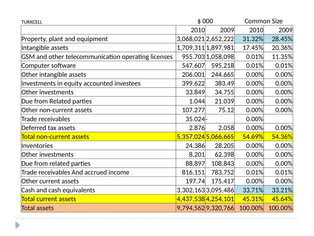 Analyzing Investing Activities The Balance Sheet - slide 6 of 60