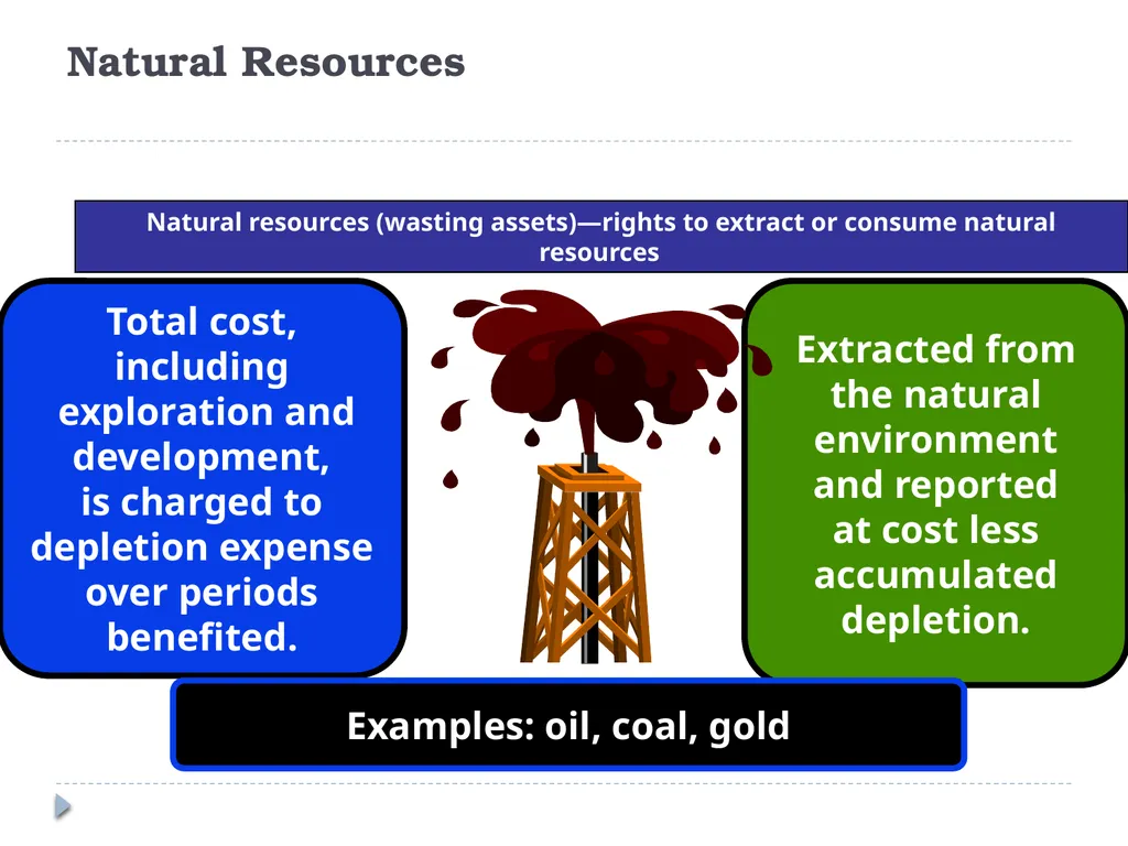 Analyzing Investing Activities The Balance Sheet - slide 53 of 60