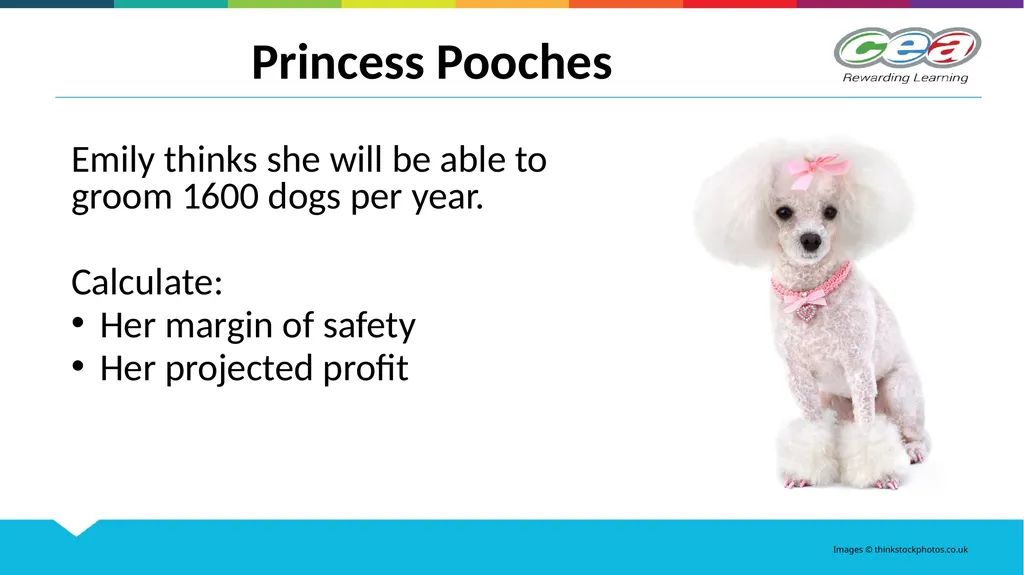 GCSE Business Studies Unit 2 Developing a Business - slide 16 of 25