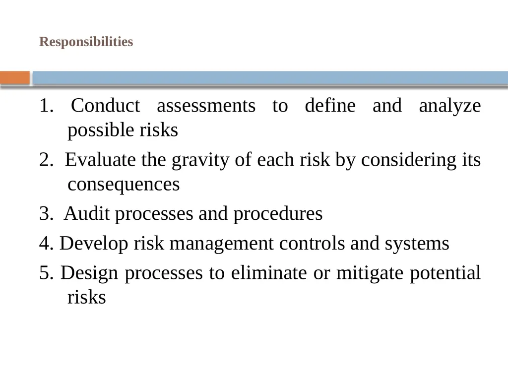 Risk Management: Guidelines and Responsibilities - slide 4 of 5