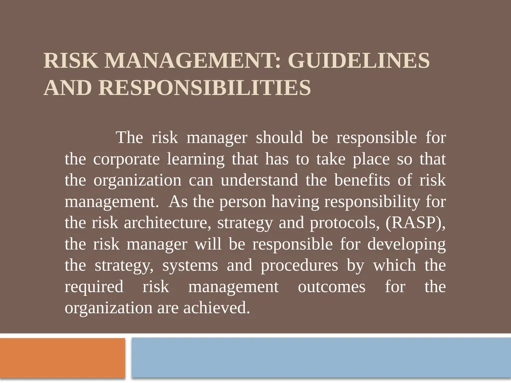Risk Management: Guidelines and Responsibilities - slide 2 of 5