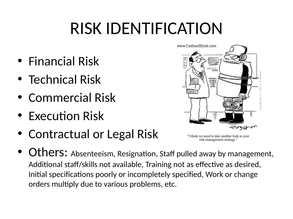 MANAGEMENT WEEK 7 Information Technology Project - slide 5 of 16