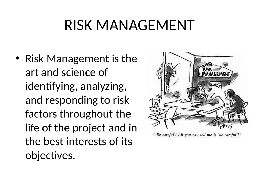 MANAGEMENT WEEK 7 Information Technology Project - slide 3 of 16