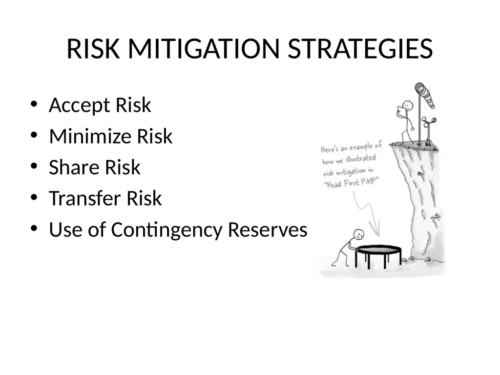 MANAGEMENT WEEK 7 Information Technology Project - slide 13 of 16