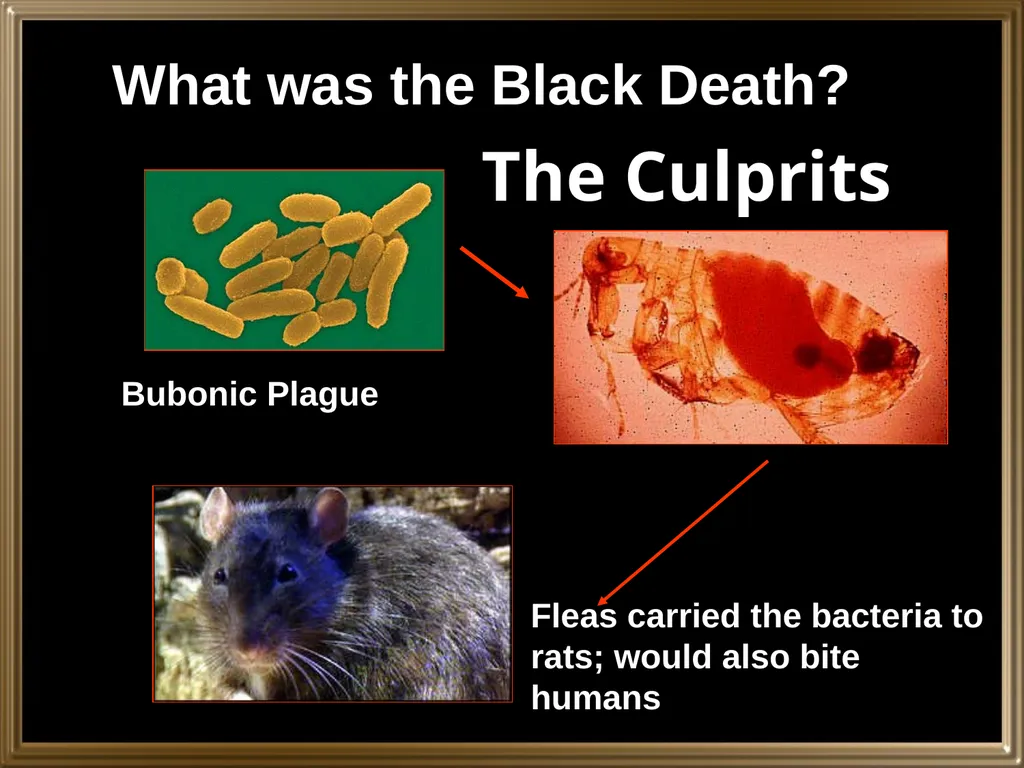 Do Now: Take out your sources you read last night. - slide 3 of 23