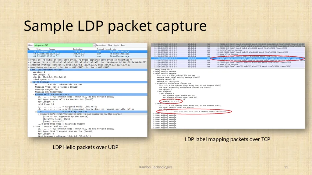 MPLS LDP based LSR and LER using OpenFlow Vikram - slide 11 of 17