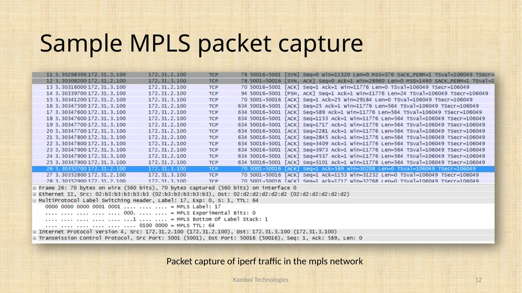MPLS LDP based LSR and LER using OpenFlow Vikram - slide 12 of 17