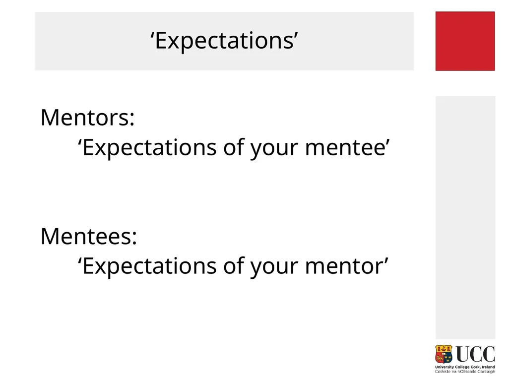 MENTORING FOR RESEARCHERS Paolo Saporito and Mary - slide 8 of 27