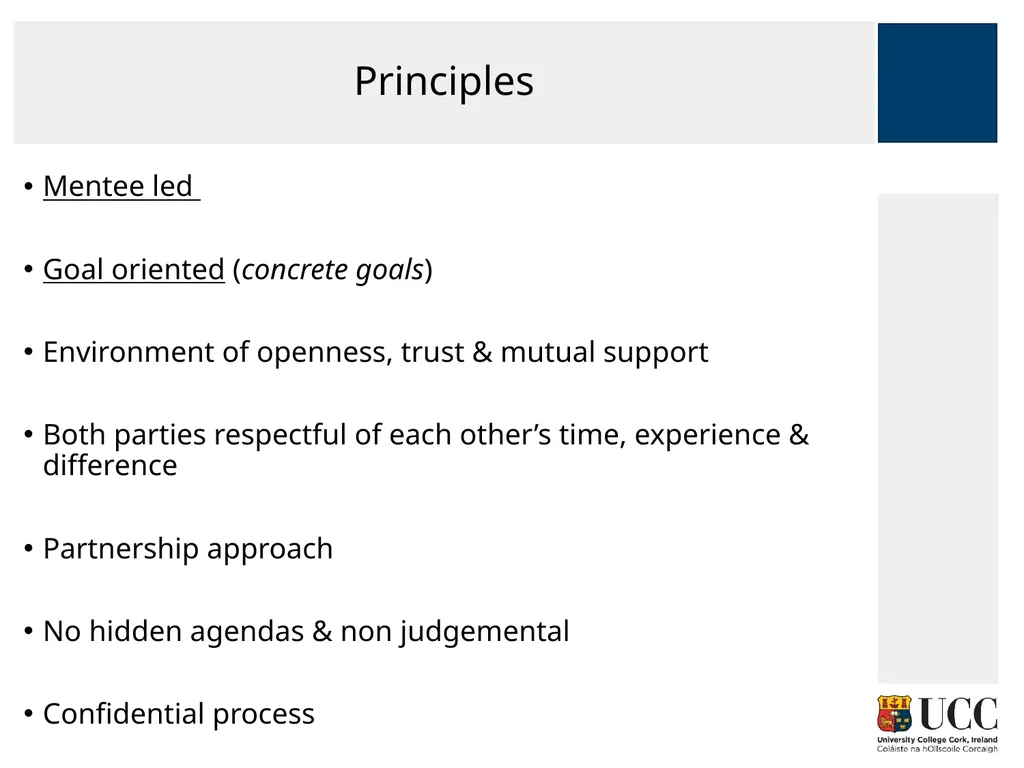 MENTORING FOR RESEARCHERS Paolo Saporito and Mary - slide 5 of 27
