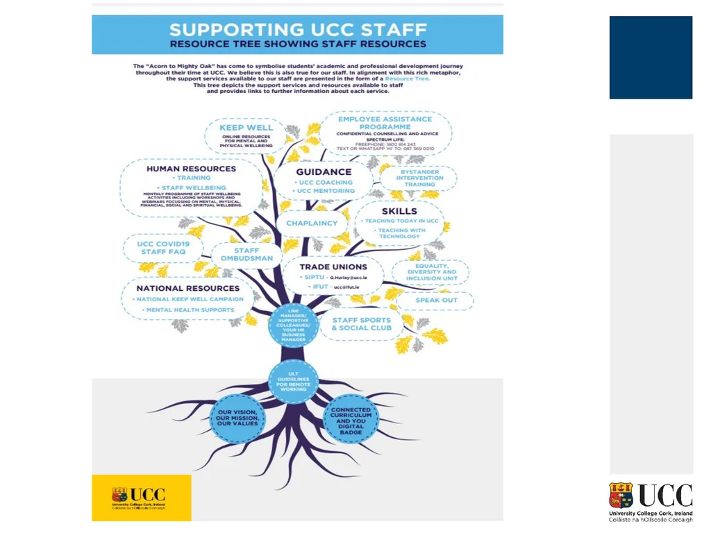 MENTORING FOR RESEARCHERS Paolo Saporito and Mary - slide 27 of 27