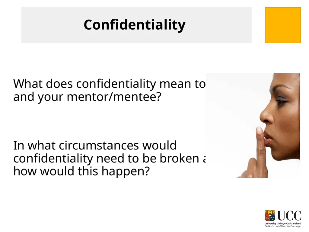MENTORING FOR RESEARCHERS Paolo Saporito and Mary - slide 11 of 27