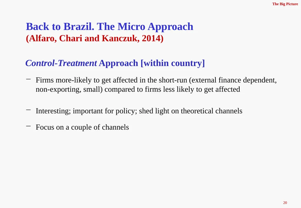 The Real Effects of Capital Controls: Credit - slide 20 of 29