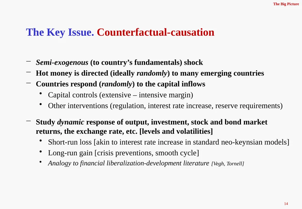 The Real Effects of Capital Controls: Credit - slide 14 of 29