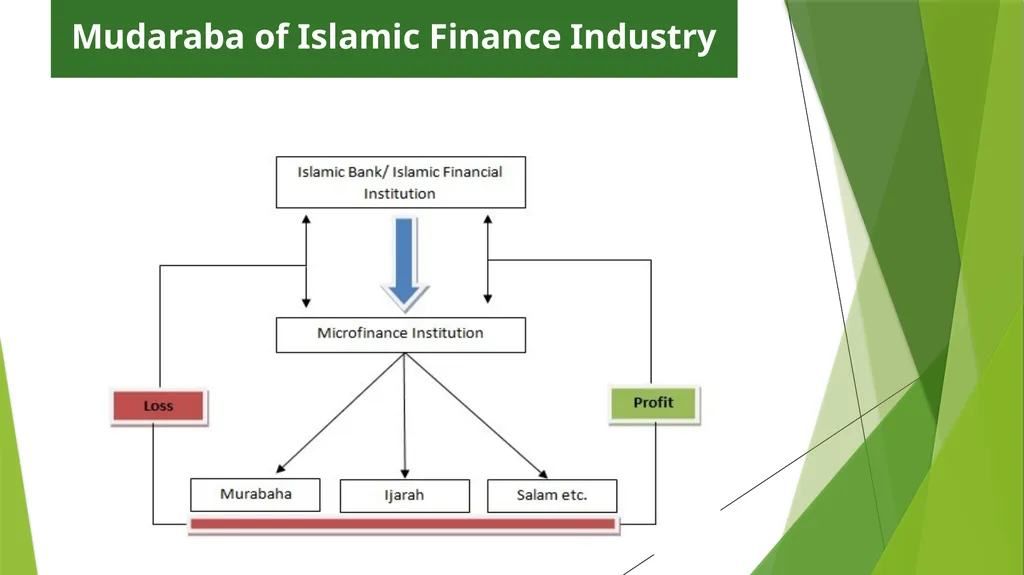 Funding Sources for Islamic Microfinance BY: - slide 12 of 16