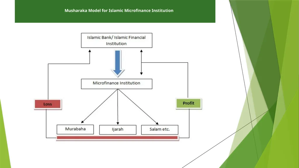 Funding Sources for Islamic Microfinance BY: - slide 11 of 16