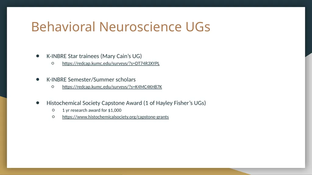 Funding Opportunities Non-exhaustive list put - slide 13 of 29