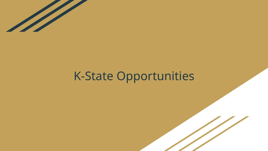 Funding Opportunities Non-exhaustive list put - slide 25 of 29
