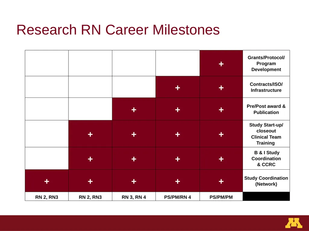Staffing Structure & Career Development University - slide 6 of 13