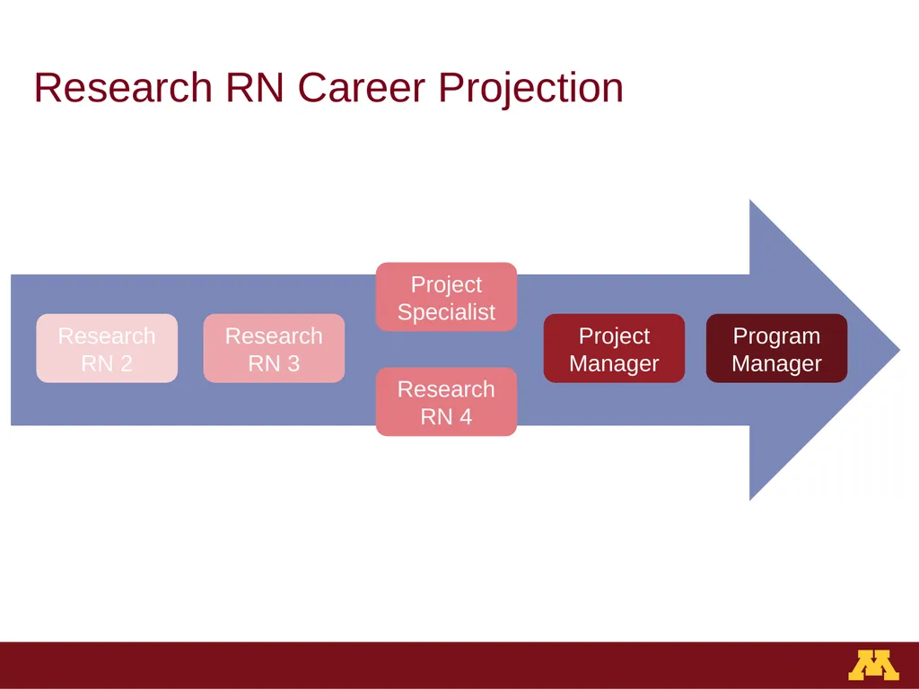 Staffing Structure & Career Development University - slide 5 of 13