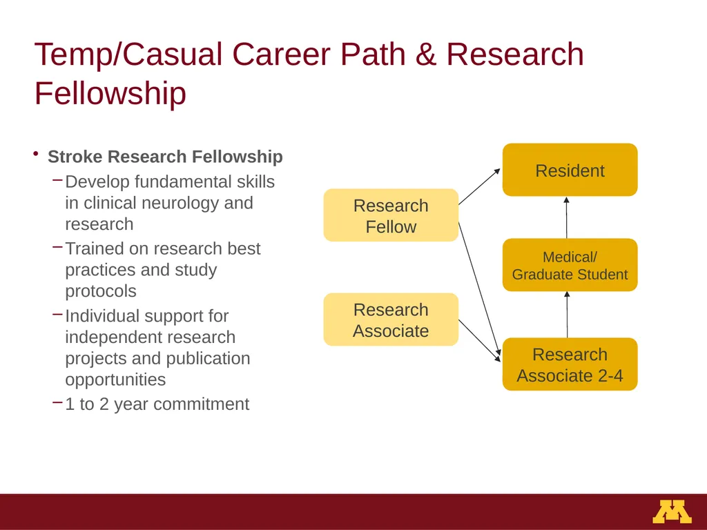 Staffing Structure & Career Development University - slide 7 of 13