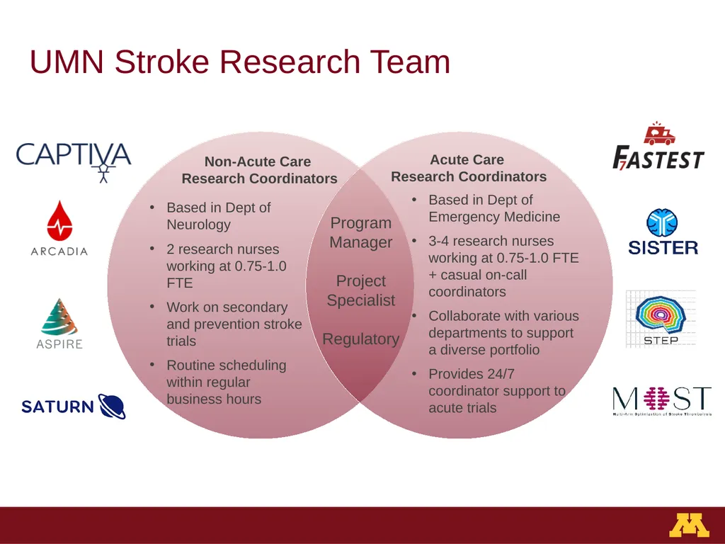 Staffing Structure & Career Development University - slide 3 of 13