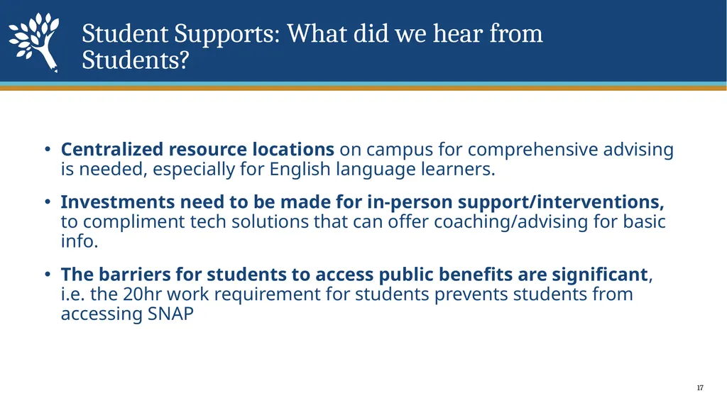 Strategic Action Plan 21-23 Council Meeting - slide 17 of 23