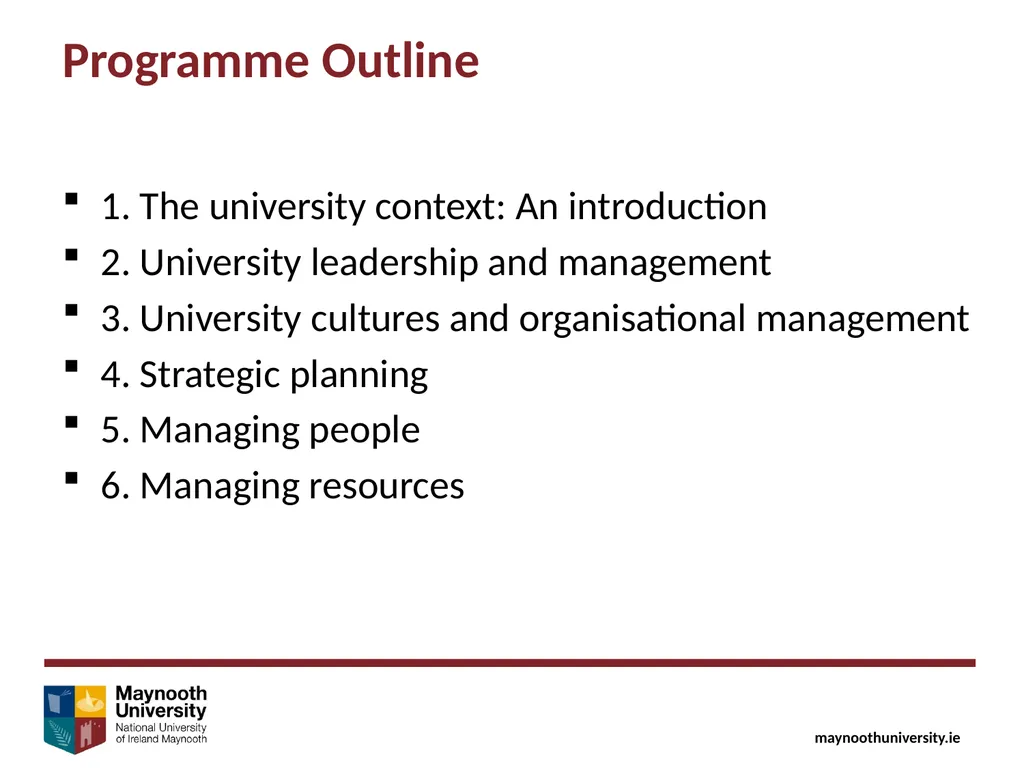University Leadership & Management Maynooth - slide 2 of 11