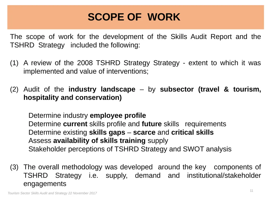 Presentation on the Skills Audit Report and the - slide 11 of 52