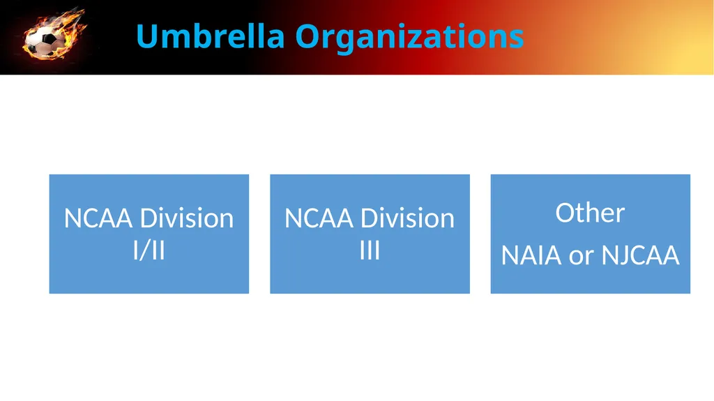 College Recruiting Amelia Island Soccer Agenda - slide 5 of 20