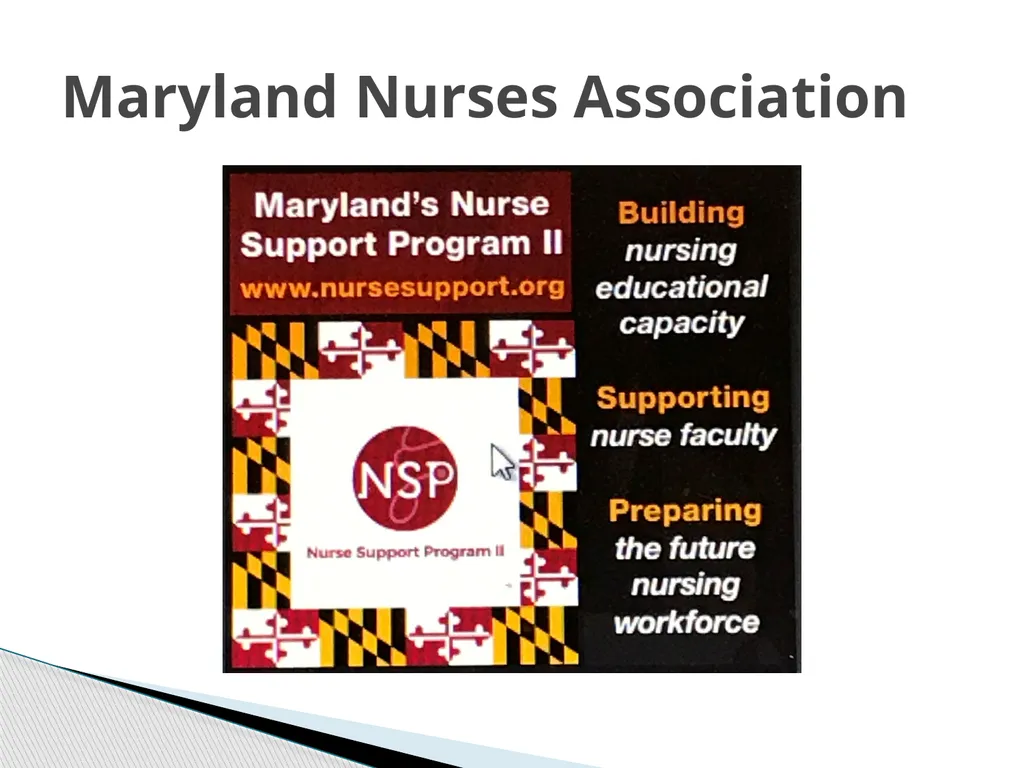 Nurse Support Program II FY 2022 Technical - slide 20 of 41
