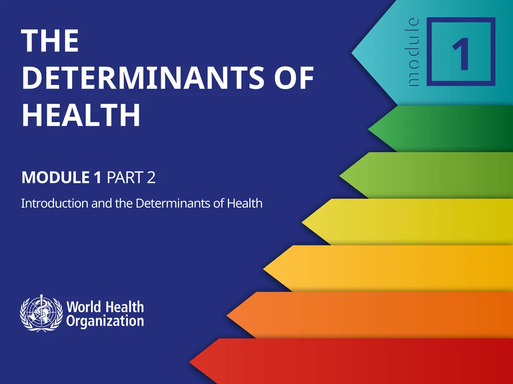 MODULE 1 PART 2 Introduction and the Determinants