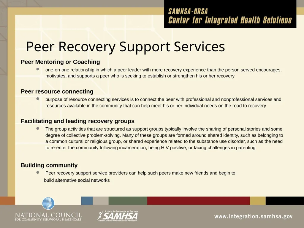 Implementing Integrated Behavioral Healthcare - slide 33 of 49
