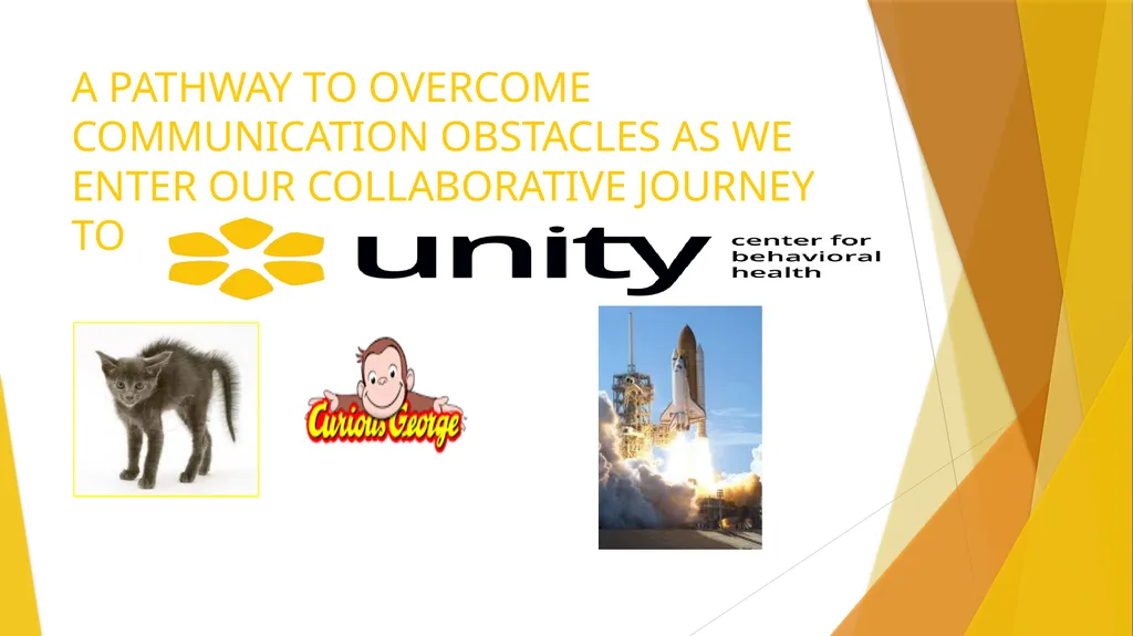 Unity Adult IP Care Model Session 1, November 5, - slide 3 of 26