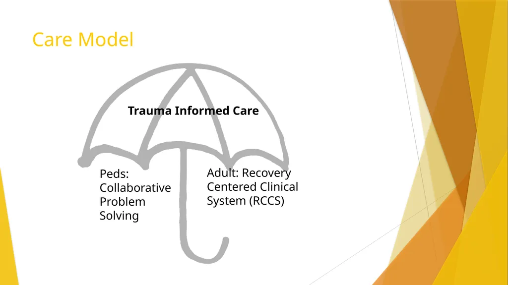 Unity Adult IP Care Model Session 1, November 5, - slide 15 of 26