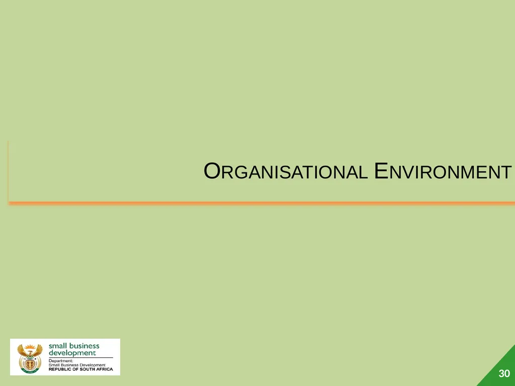 Department of Small Business Development (DSBD) - slide 30 of 77
