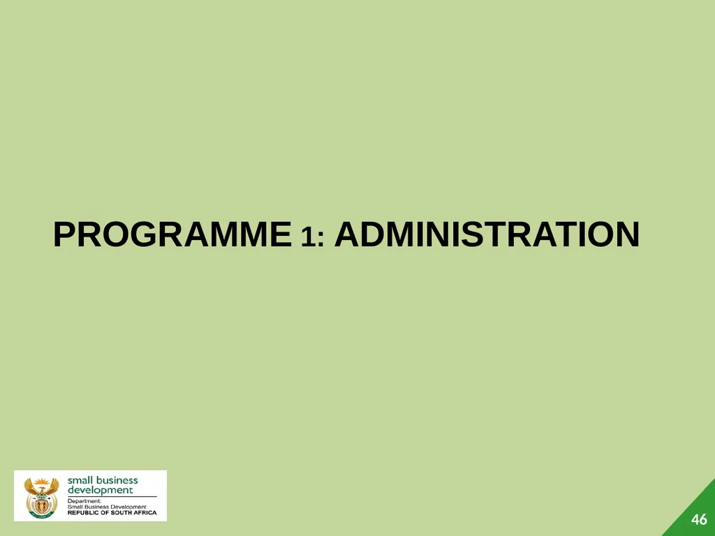Department of Small Business Development (DSBD) - slide 46 of 77