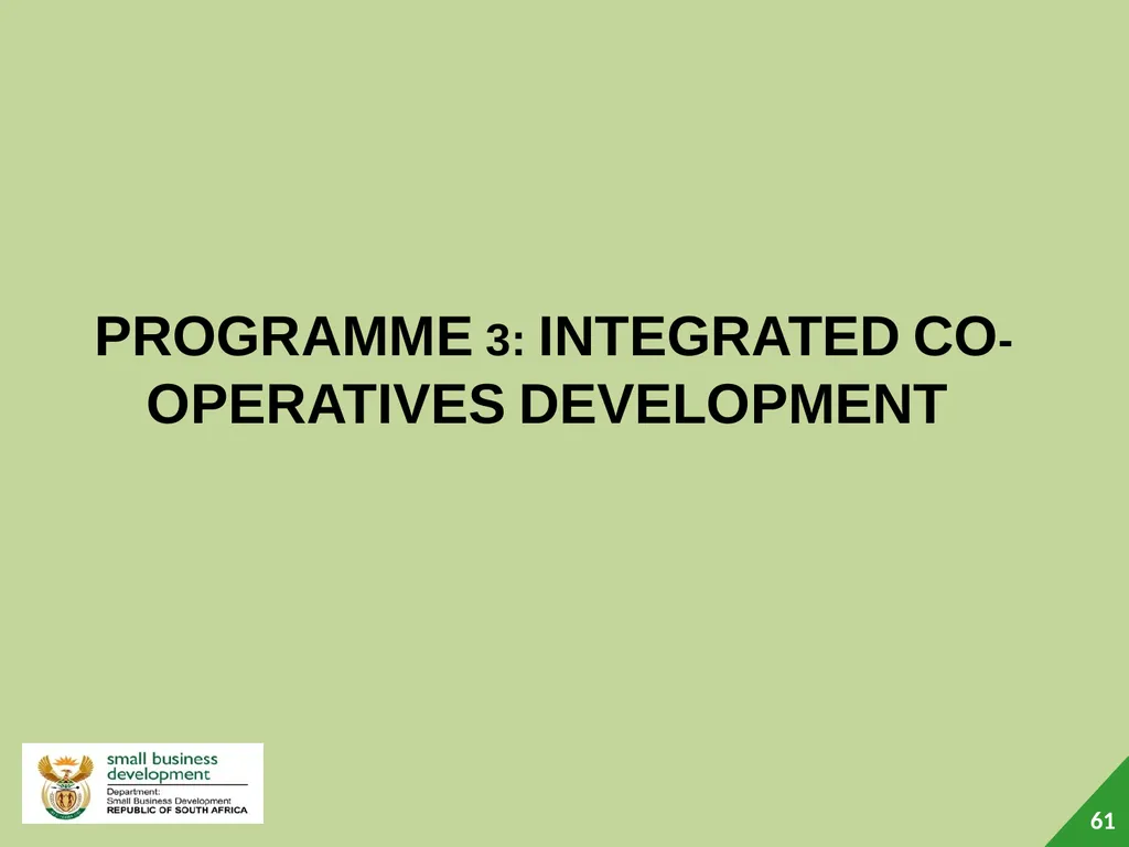Department of Small Business Development (DSBD) - slide 61 of 77