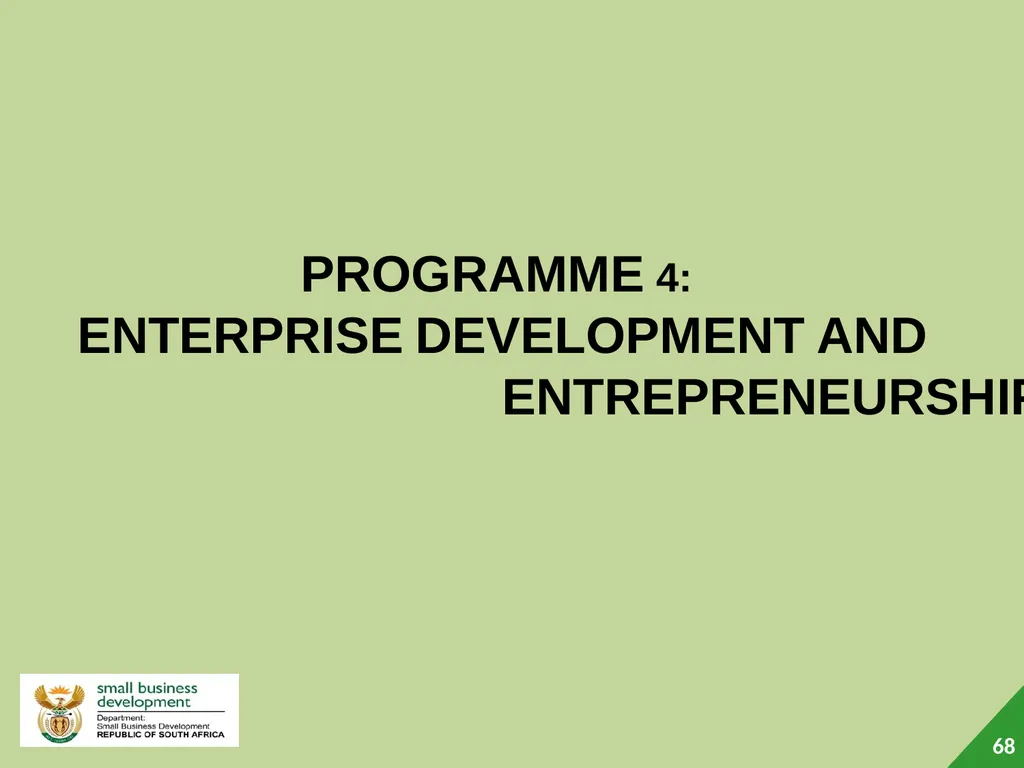 Department of Small Business Development (DSBD) - slide 68 of 77