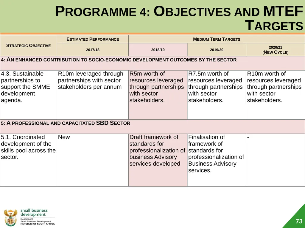 Department of Small Business Development (DSBD) - slide 73 of 77