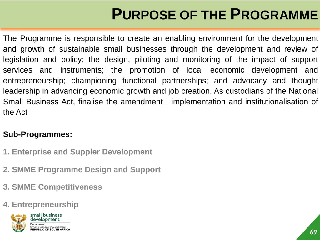 Department of Small Business Development (DSBD) - slide 69 of 77