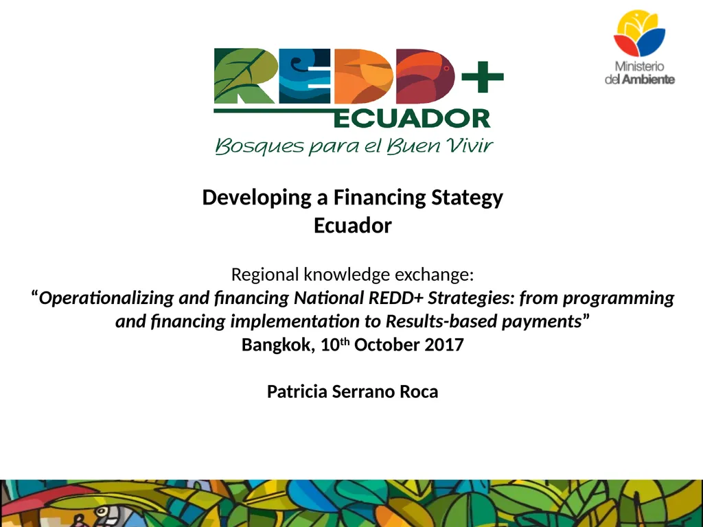 Developing a Financing Stategy Ecuador Regional