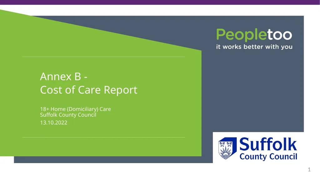 Annex B - Cost of Care Report 18+ Home
