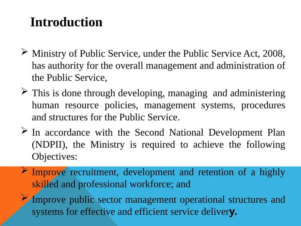 HUMAN RESOURCE MANAGEMENT ISSUES IN THE PUBLIC - slide 3 of 21