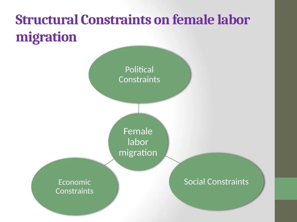 Path toward Family Reunification: Structural - slide 6 of 42