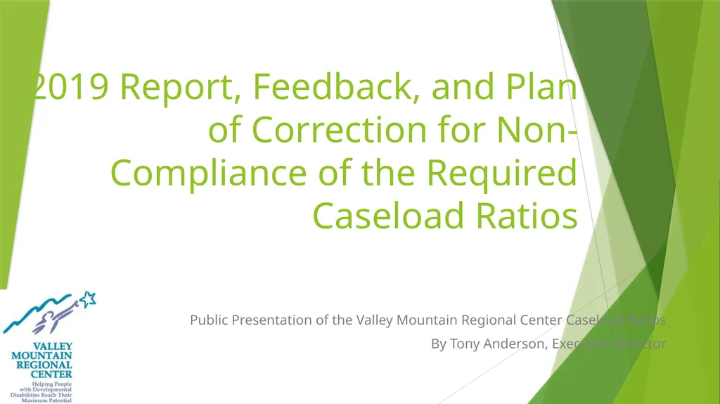 2019 Report, Feedback, and Plan of Correction for - slide 1 of 23