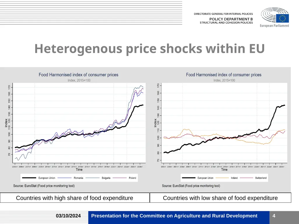 Food price shocks and food consumption Workshop on - slide 4 of 11