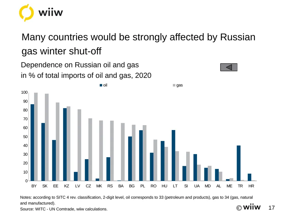 Summer Forecasts for CESEE: Impressive resilience - slide 17 of 21