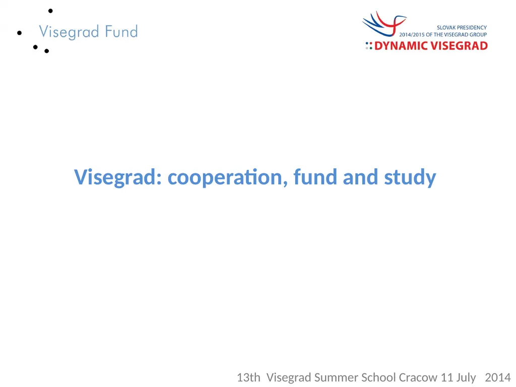 Visegrad: cooperation, fund and study 13th