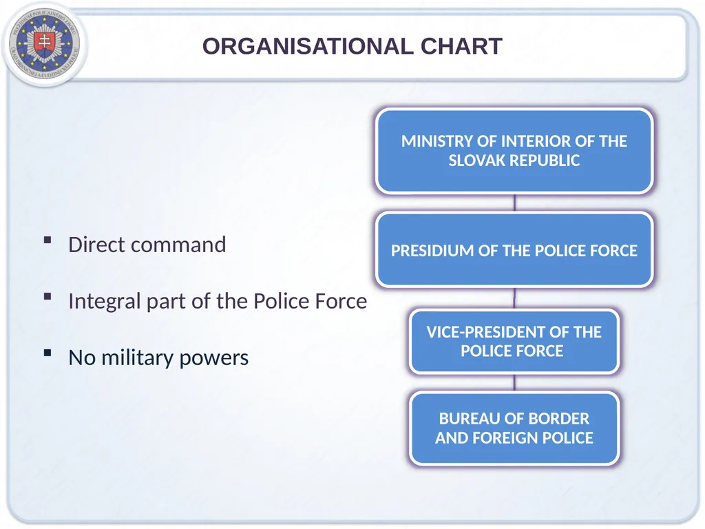 IRREGULAR MIGRATION IN SLOVAKIA ROLE OF NATIONAL - slide 2 of 8
